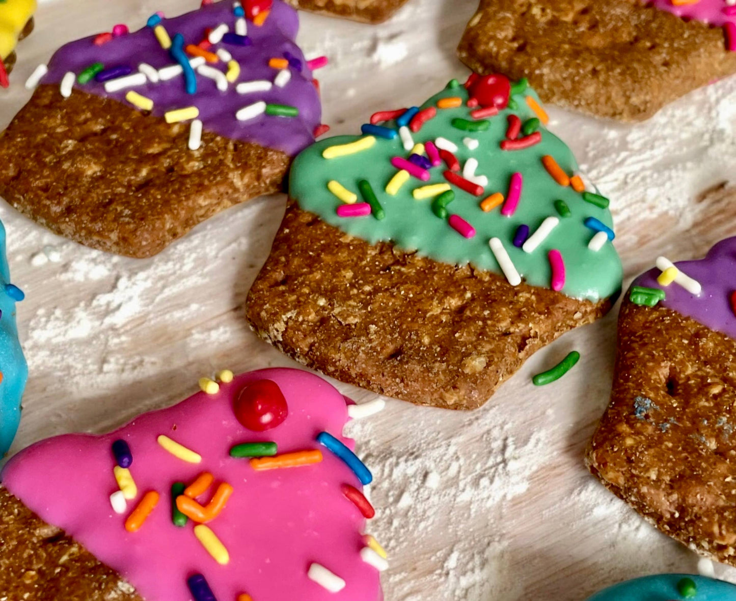 YumYum4DOGS - PUPcake 🧁 dog treat- Single - Doot's Pet LLC Collars For A Cause