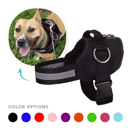 Joyride Harness - Joyride Basic Essential Dog Harness 1.0 - Purple Majesty / XS, XXL
