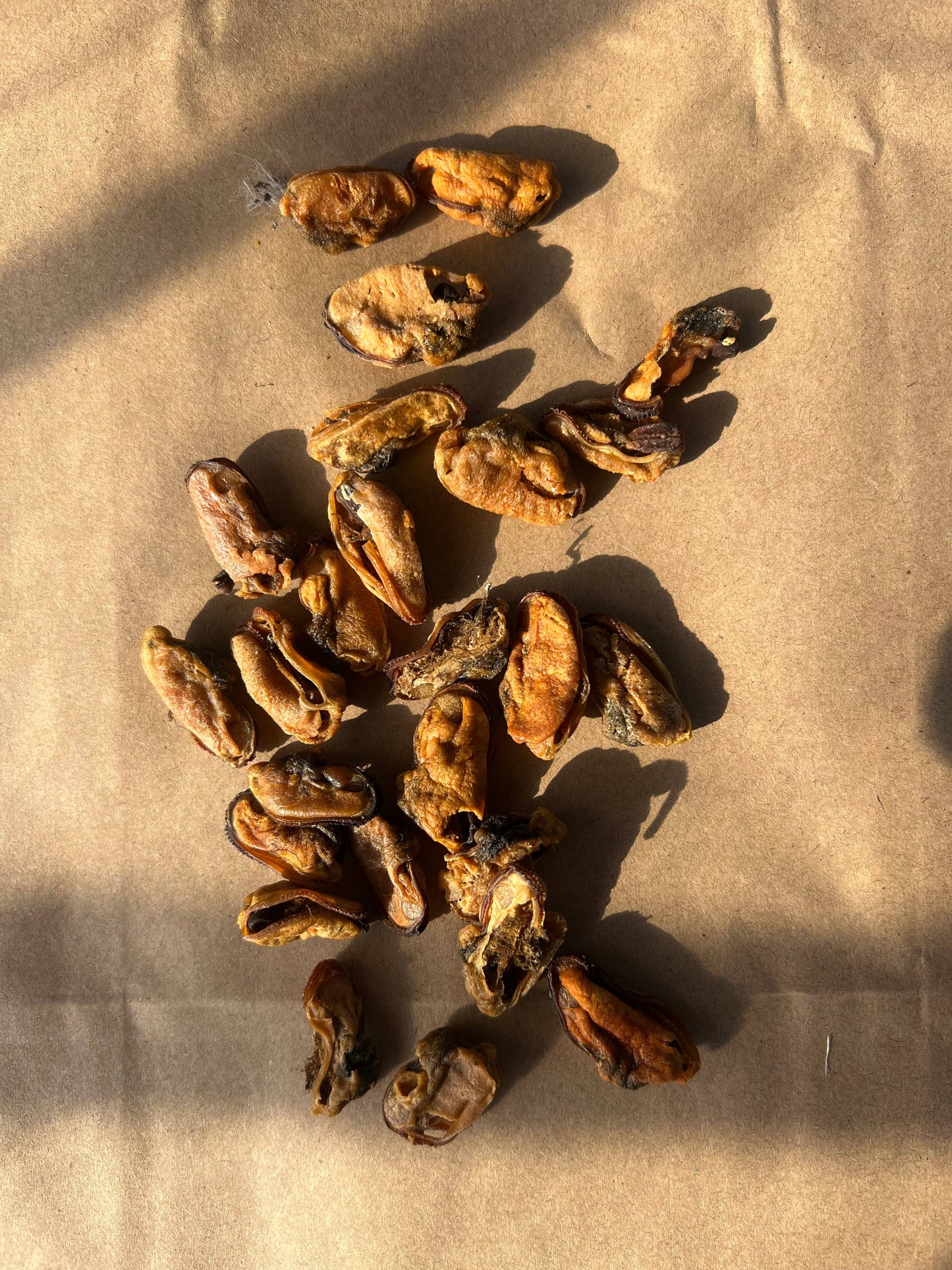 What the raw - Mussels