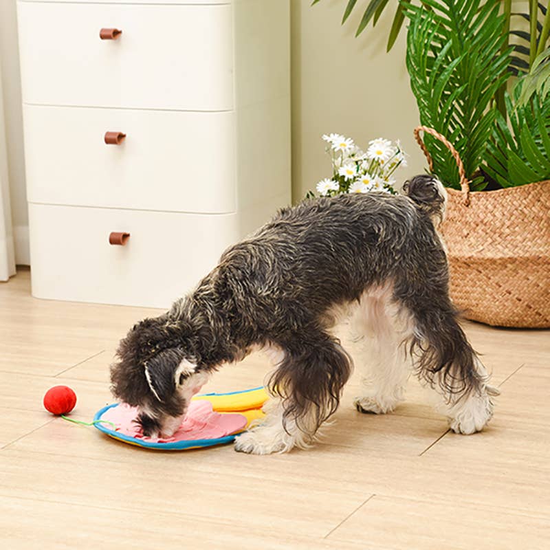 Hugsmart Products Inc - HugSmart Pet - Whisker Mat | Ice-cream - Snuffle Toy