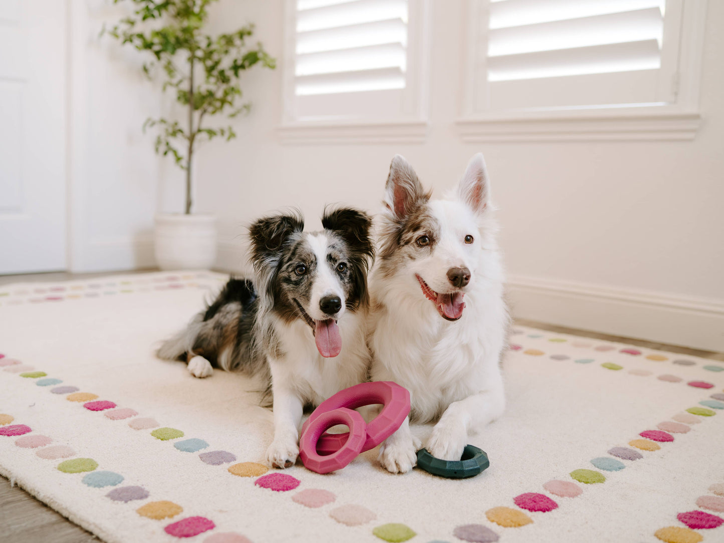 ZippyPaws - ZippyTuff+ Magenta Ring - Dog Toy