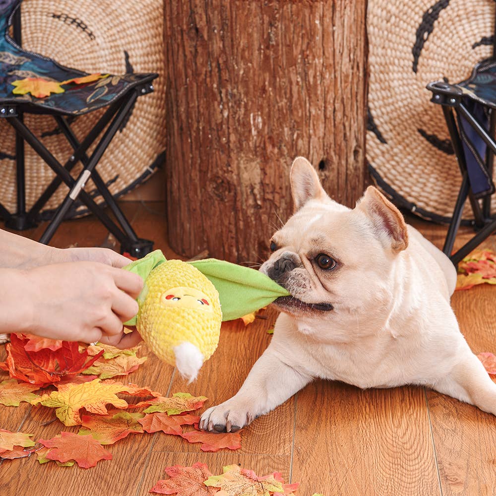 Hugsmart Products Inc - HugSmart Pet - Camping Pups | Corn - Dog Plush Toy