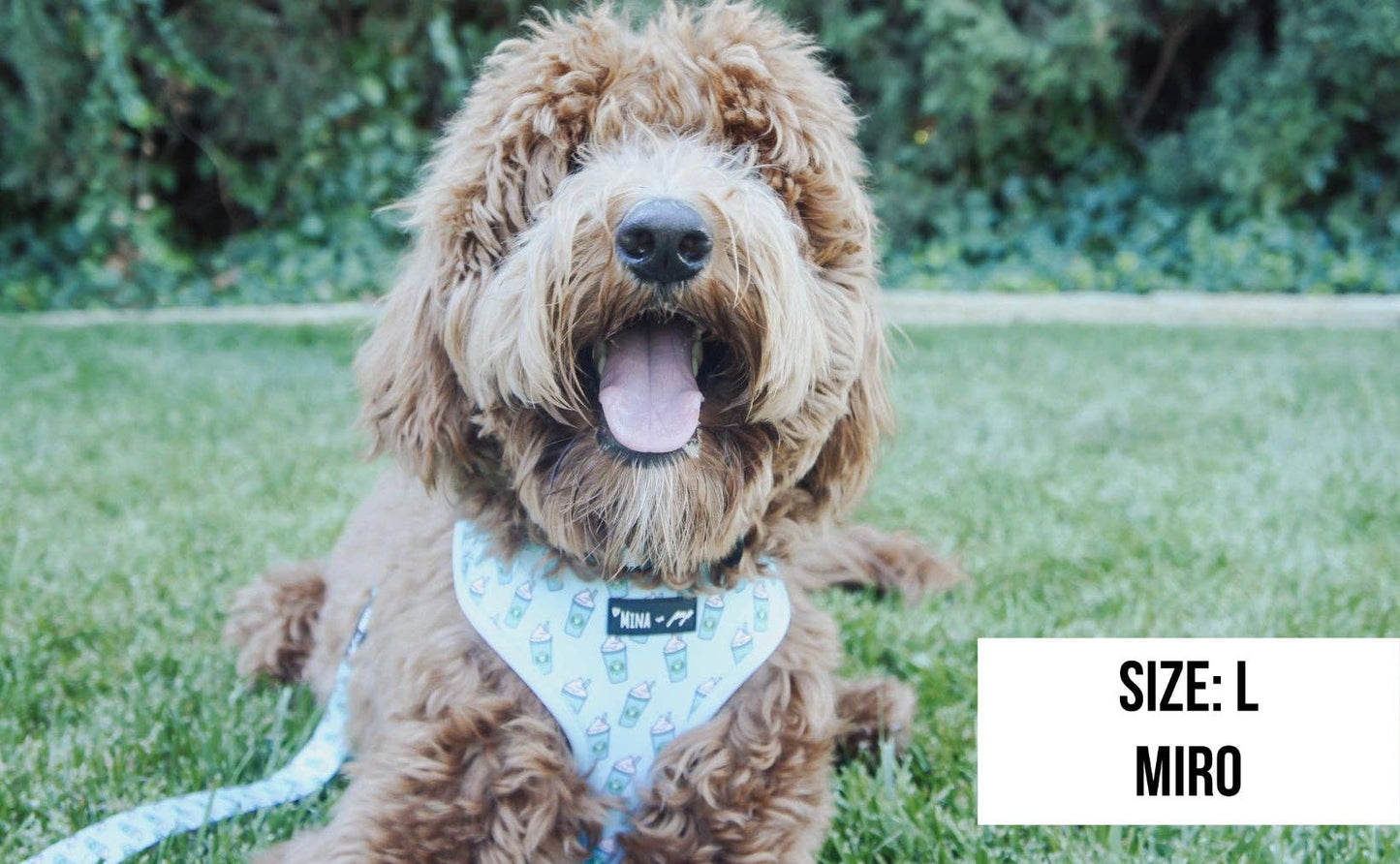 Mina + Pup - Blue Pupshake Adjustable Dog or Cat Harness