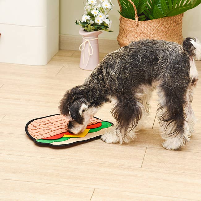 Hugsmart Products Inc - HugSmart Pet - Whisker Mat | Hamburger - Snuffle Toy