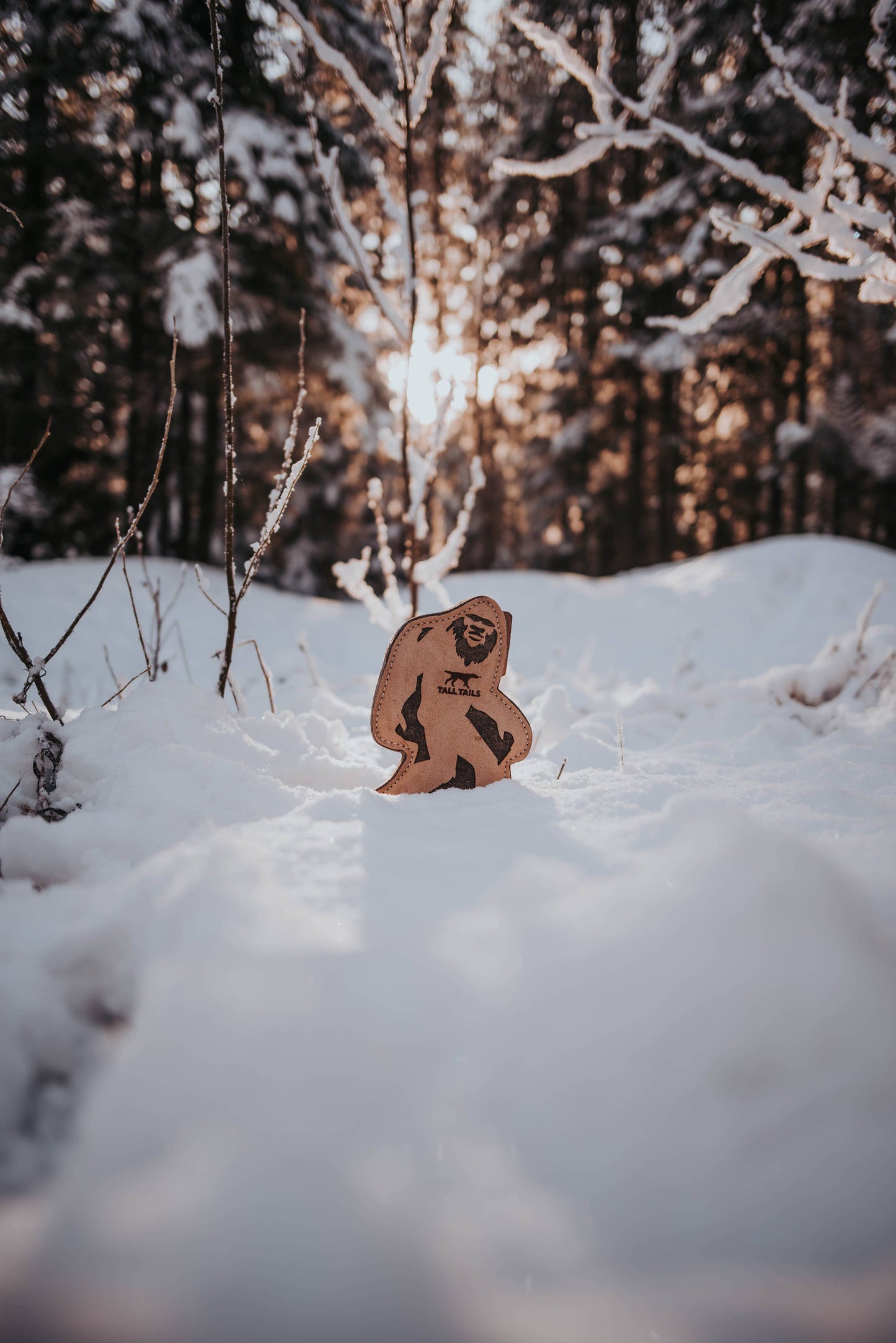 Tall Tails - Tall Tails Natural Leather & Wool Big Jr. - 9"