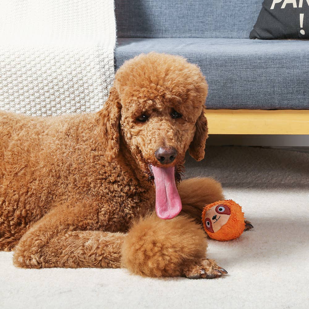 Hugsmart Products Inc - HugSmart Pet - Zoo Ball | Sloth - Dog Ball Toy