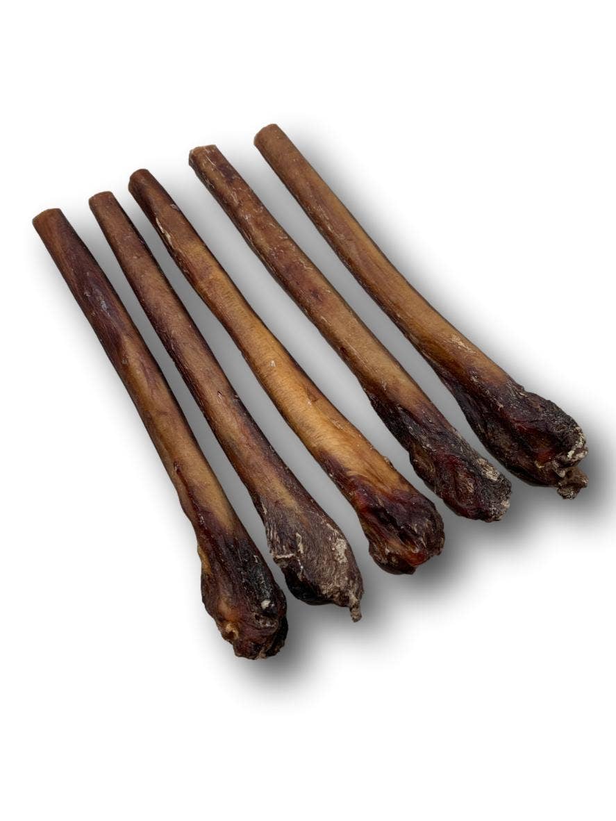 Healthy Dog Chews - Bully Stick 12" Black Angus XXL (BSBA0112) - Single