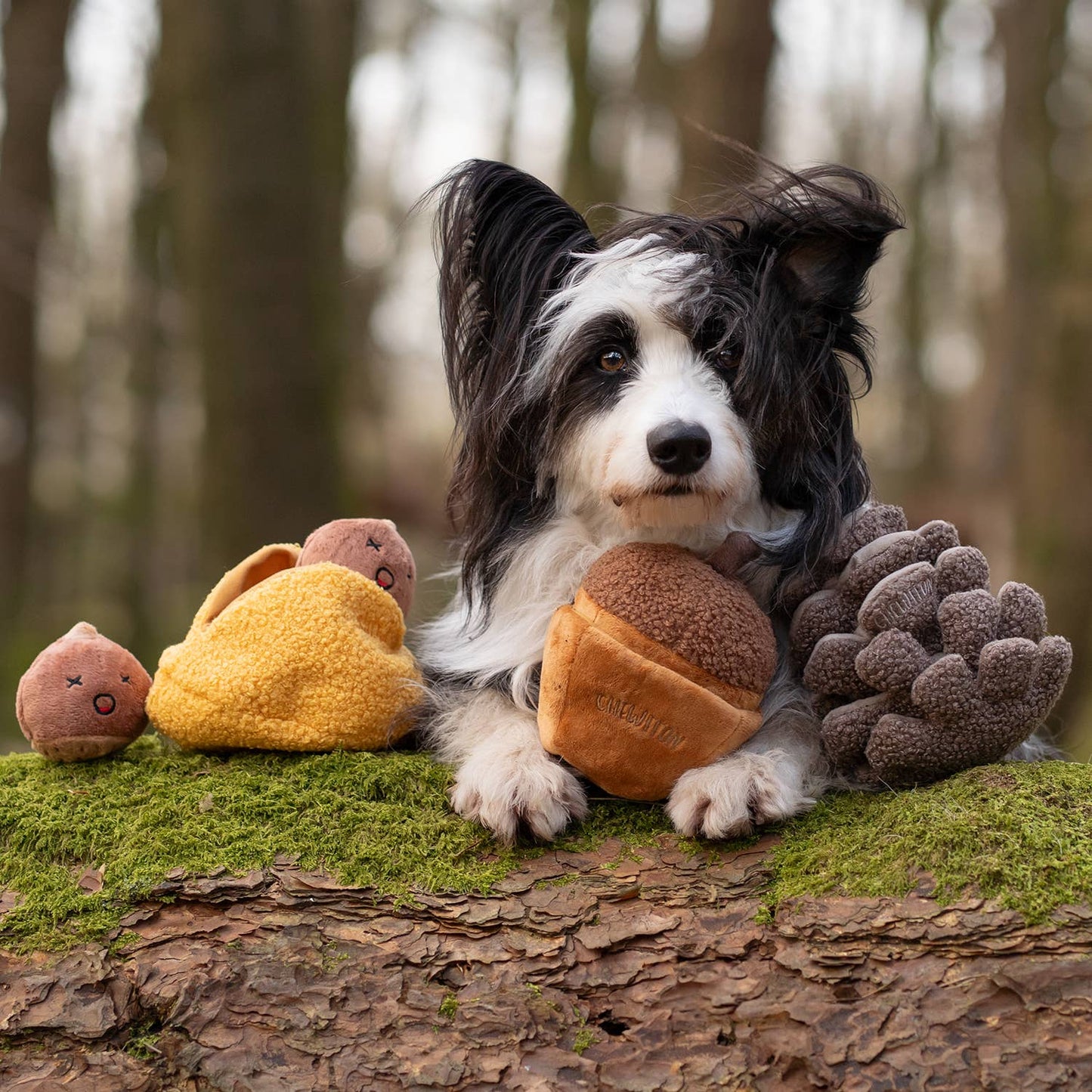 CHEWFFON - CHEWFFON Pinecone Snuffle & Squeak Dog Toy