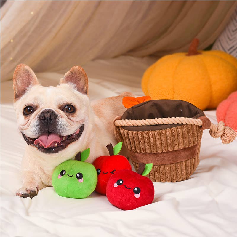 Hugsmart Products Inc - HugSmart Pet - Autumn Tailz | Apple Basket -Interactive Toy