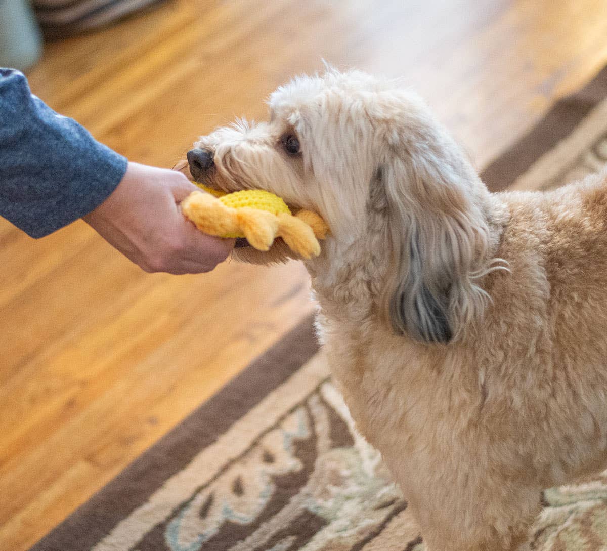Pet Palette Distribution - ThoozyPet Sun Plush Dog Toy 8"