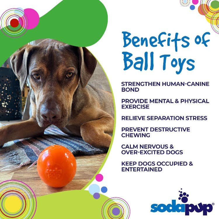 SodaPup - Squeak Ball Ultra Durable PUP-X Squeaking, Chewing, Floating & Retrieving Ball - Large Squeaker Ball - glow in the dark