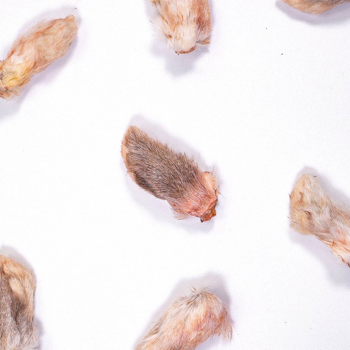 Doot's Chew Bar - Rabbit Paws