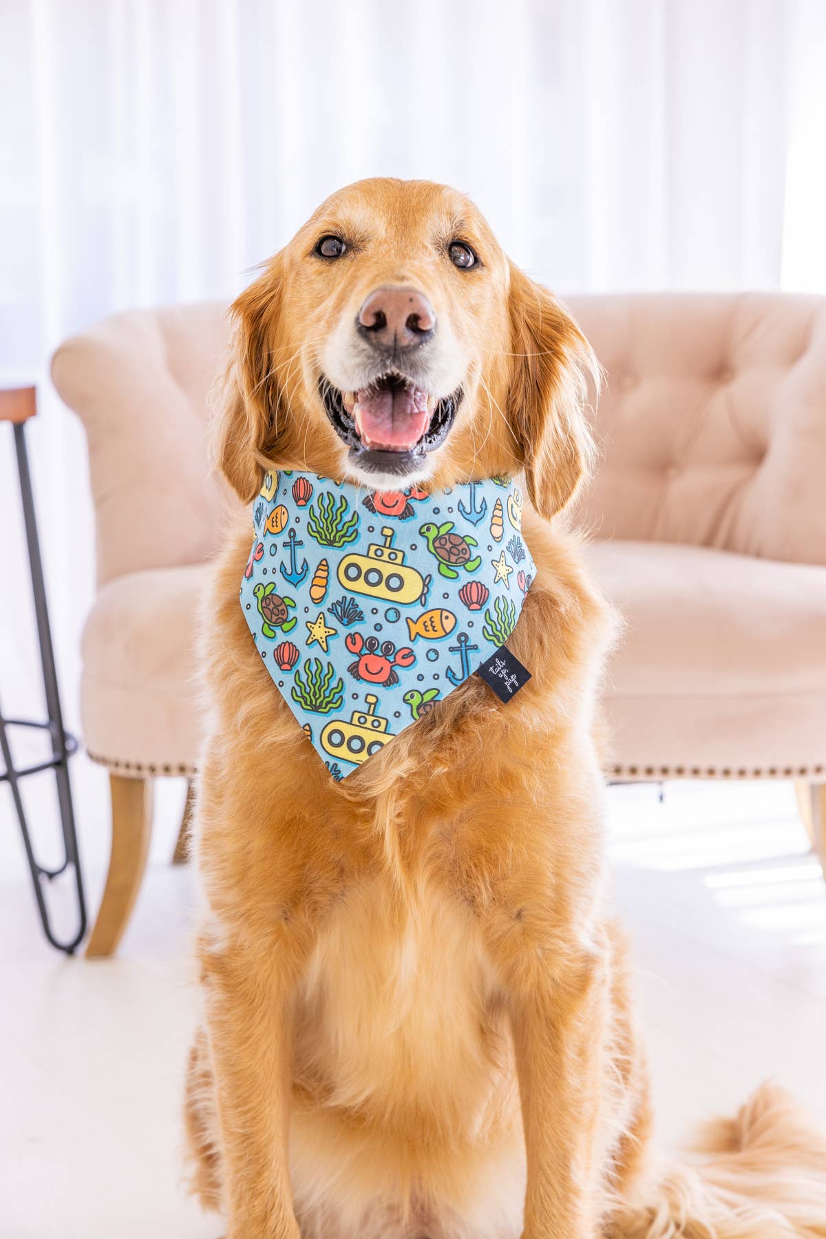 Tails Up, Pup - Ocean Dog Bandana , Summer Dog Bandana , Summer Dog