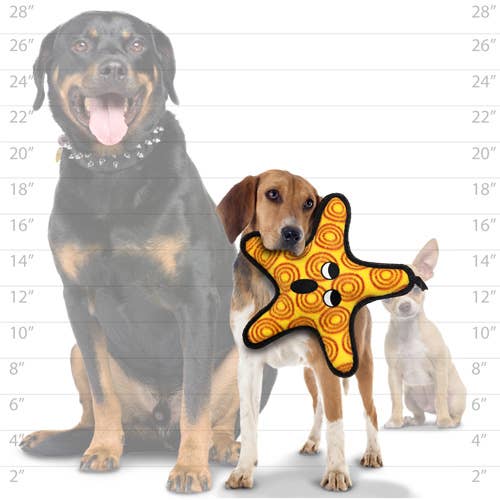 Tuffy Dog Toys - VIP Products - Tuffy Ocean Starfish, Durable, Tough, Squeaky Dog Toy - Doot's Pet LLC Collars For A Cause