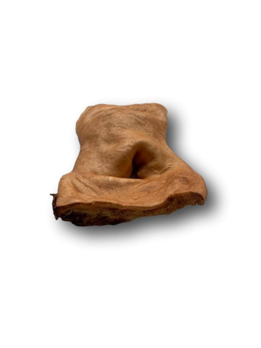 Healthy Dog Chews - Beef Snout (CS0101R) - Single