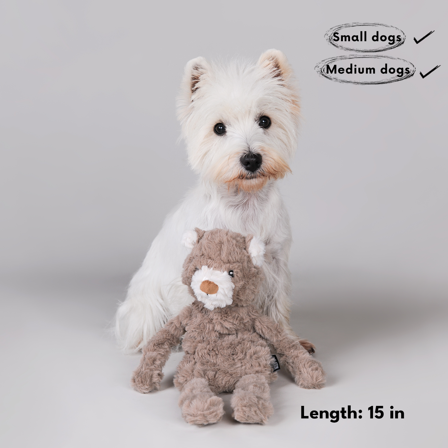 CHEWFFON - CHEWFFON No-Stuffing Teddy Bear Snuffle Dog Toy