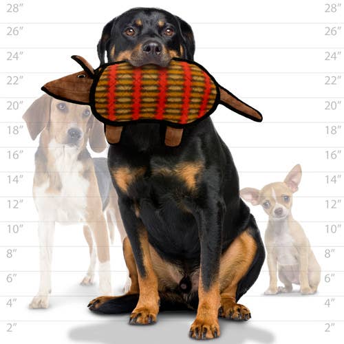 Tuffy Dog Toys - VIP Products - Tuffy Desert Armadillo, Durable, Tough, Squeaky Dog Toy