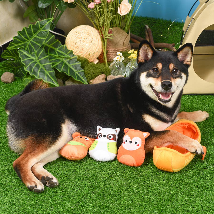 Hugsmart Products Inc - HugSmart Pet - Camping Pups | Kayak - Interactive Toy