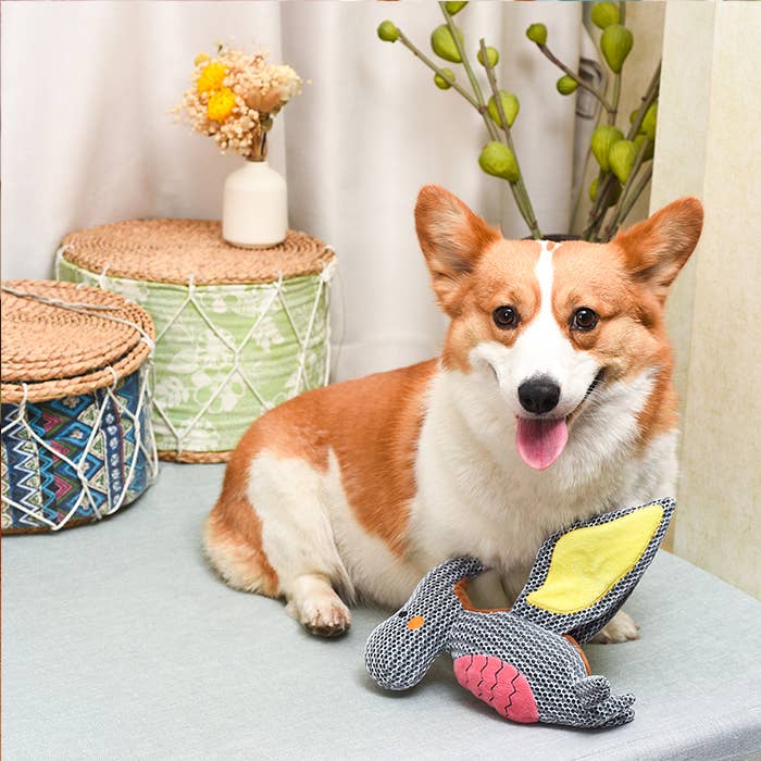 Hugsmart Products Inc - HugSmart Pet - Dinosaur Land | Pterosaur - Dog Plush Toy - Large