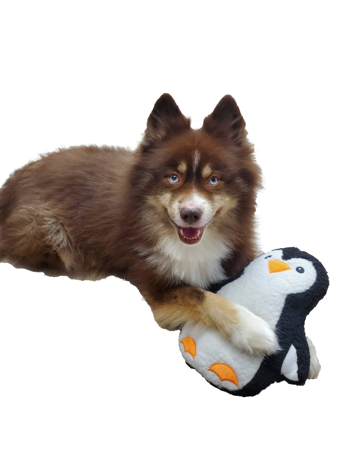 Barker's Bowtique - Polly the Penguin Fleece Dog Toy