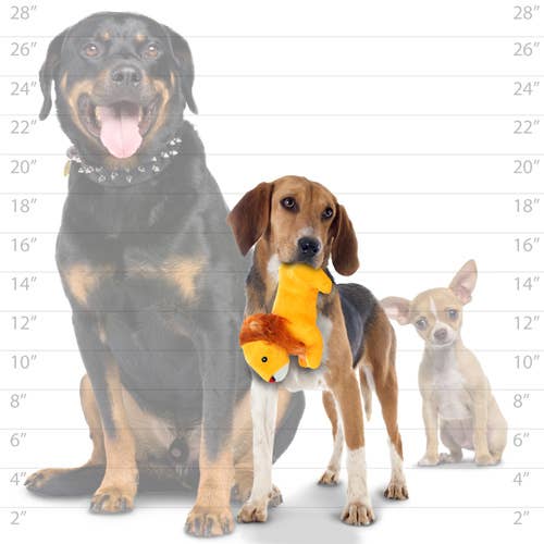 Tuffy Dog Toys - VIP Products - Mighty Jr Safari Lion, Plush, Squeaky Dog Toy - Doot's Pet LLC Collars For A Cause
