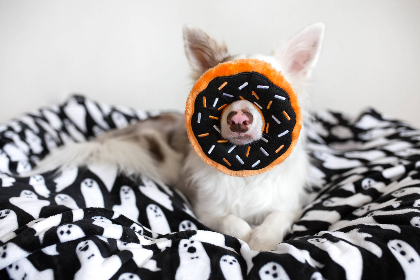 ZippyPaws - Donutz - Pumpkin Spice - Dog Toy