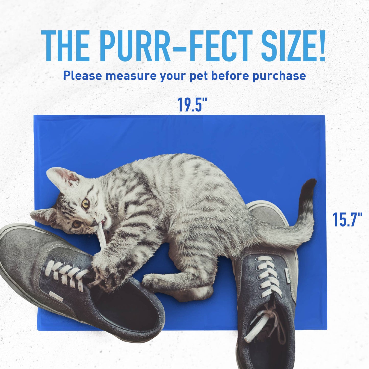 The Green Pet Shop - Chillz Gel Mat