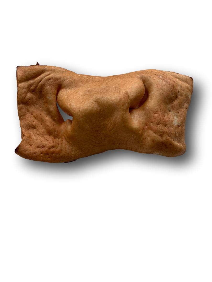 Healthy Dog Chews - Beef Snout (CS0101R) - Single