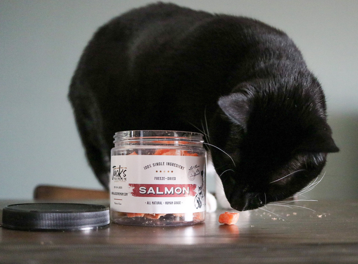 Salmon Freeze Dried