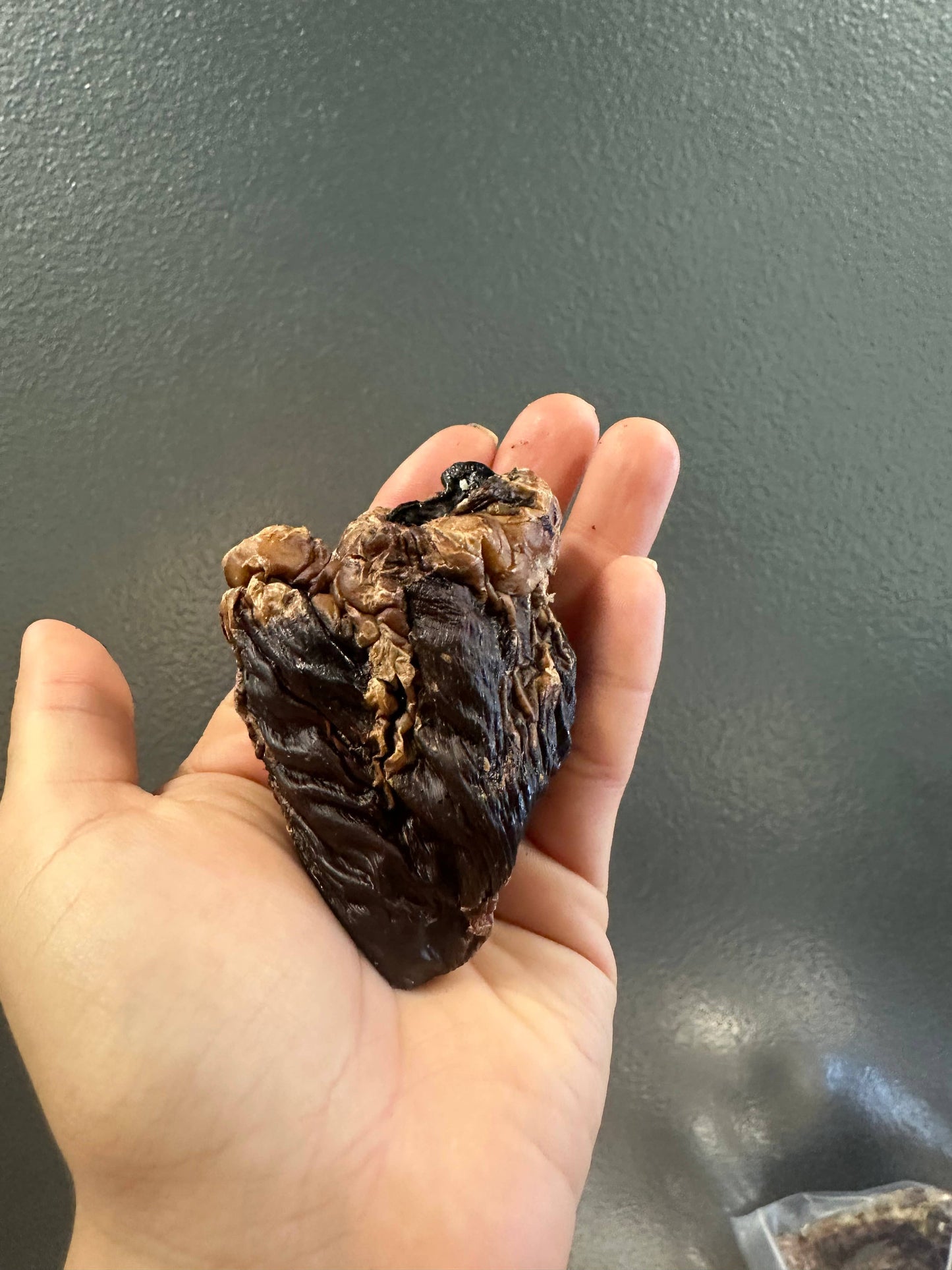 Doot's Chew Bar - Lamb Heart