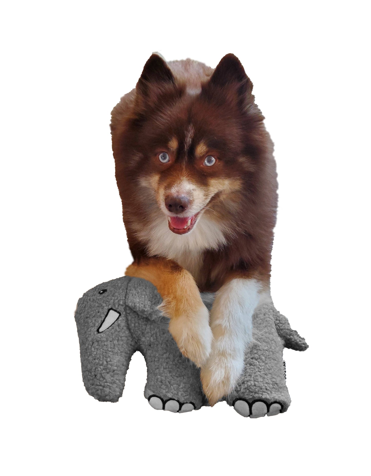 Barker's Bowtique - Earl the African Elephant Wildlife Fleece Dog Toy