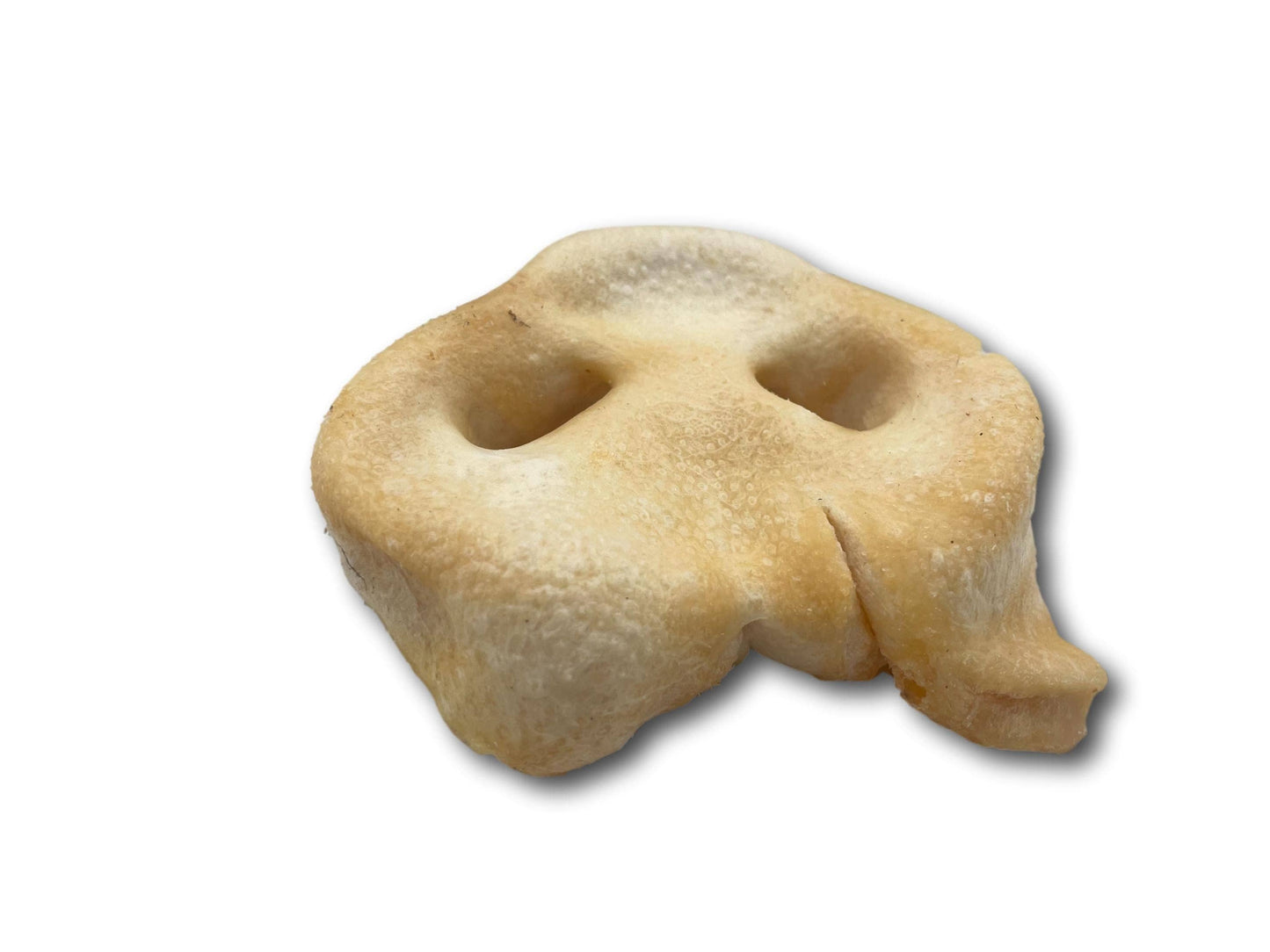 Healthy Dog Chews - Pig Snout (PE0101SN) - Single