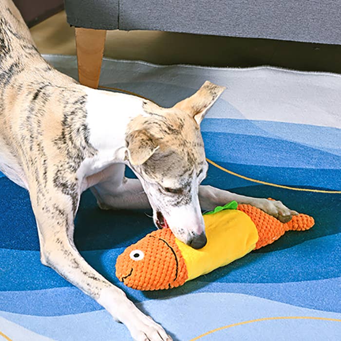 Hugsmart Products Inc - Orilandpet - Food Party | Shaky Fish Taco - Dog Plush Toy