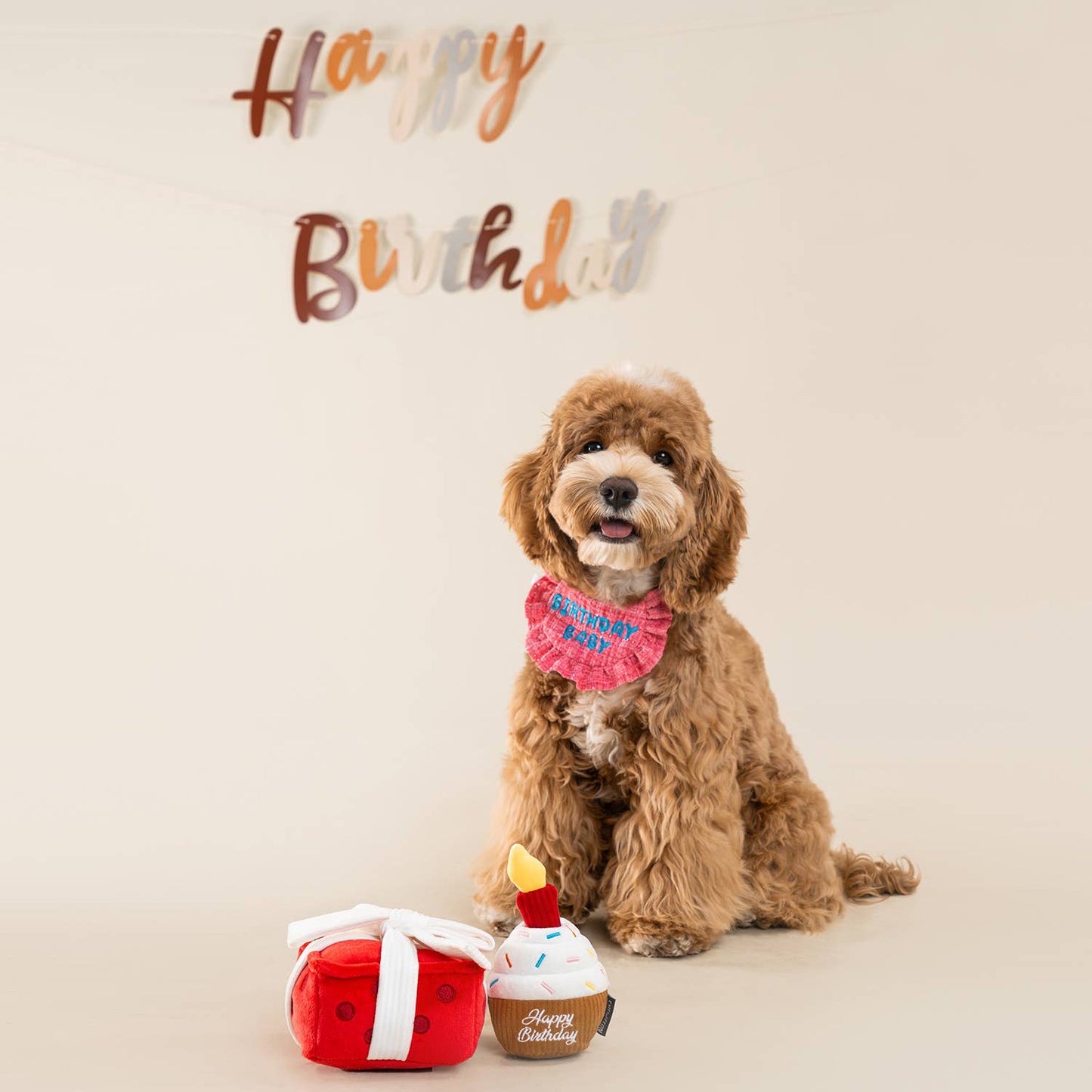 CHEWFFON - CHEWFFON Gift Box Dog Toy Crinkle, Squeak & Treat Puzzle