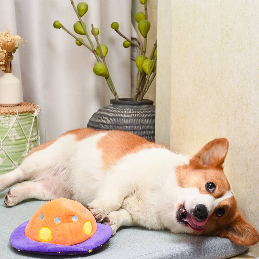 Hugsmart Products Inc - HugSmart Pet - Space Paws | Flip the UFO - Dog Plush Toy