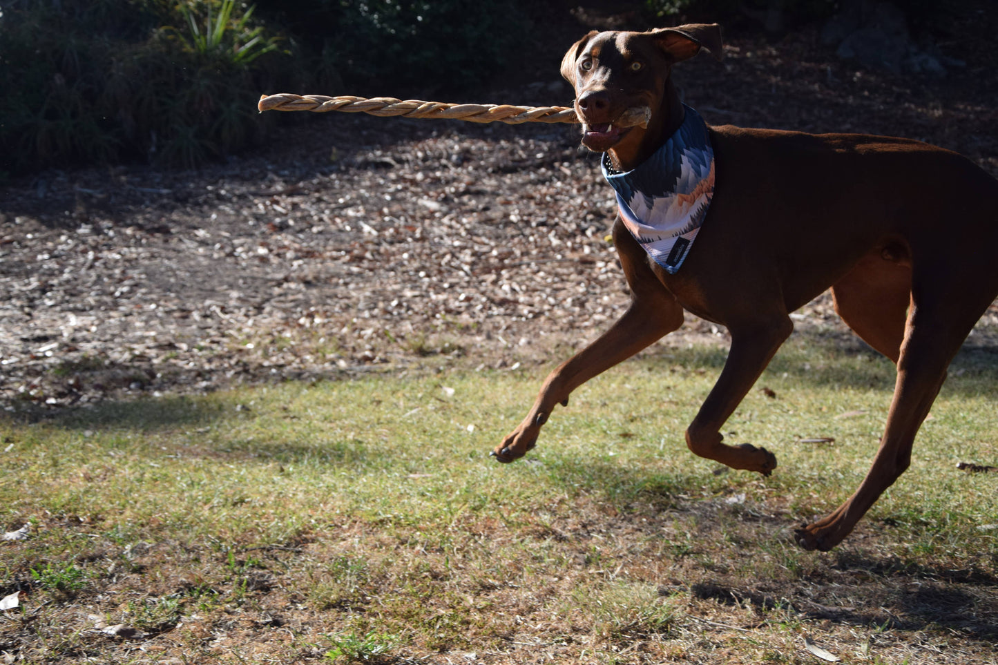 Dogginstix - 12" Braided Lamb Collagen Sticks