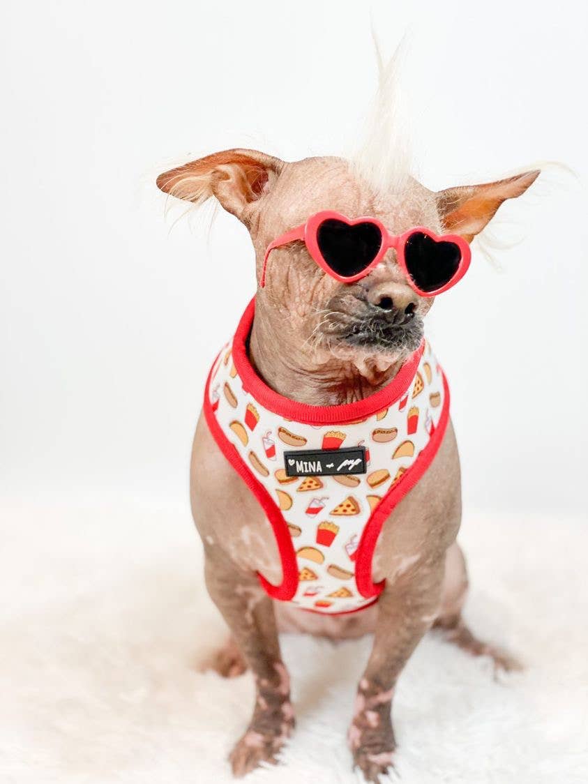 Mina + Pup - Drive-In Diner Reversible Harness