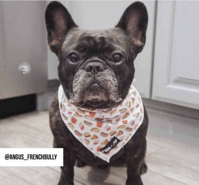 Mina + Pup - Drive-In Diner Cooling Bandana