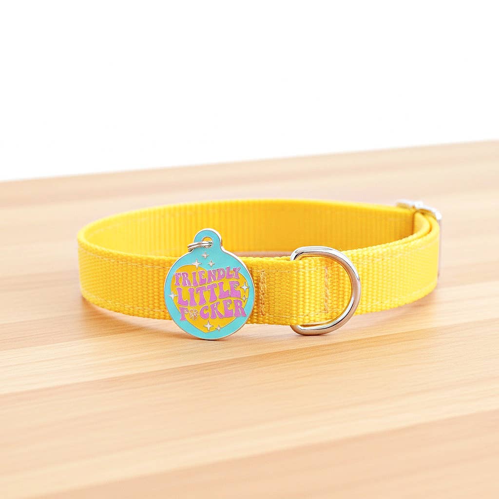 Bad Tags - Funny Dog ID Tag with Scannable QR Code - Friendly F*cker - Engraved QR Code / Small 1"