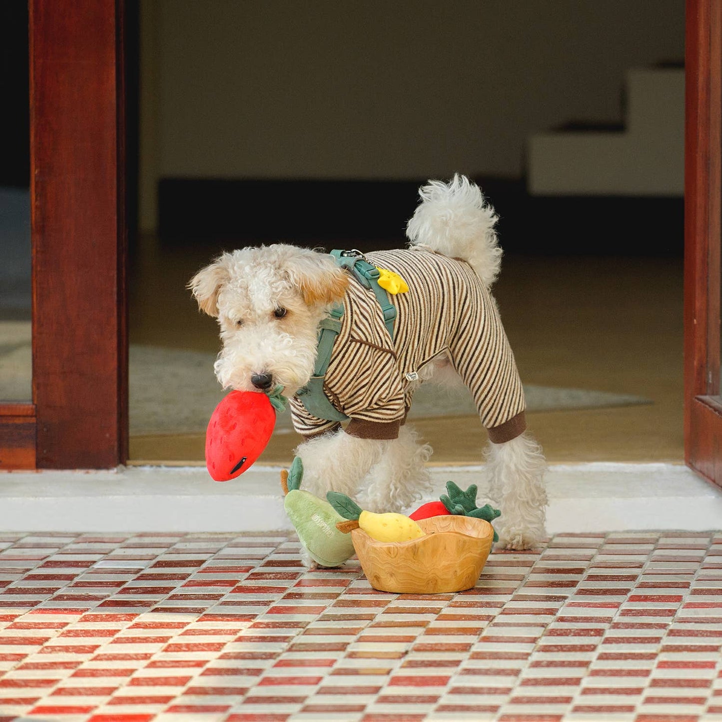 CHEWFFON - CHEWFFON Fruit Plush Squeaky Dog Toy Set – Strawberry, Lemon