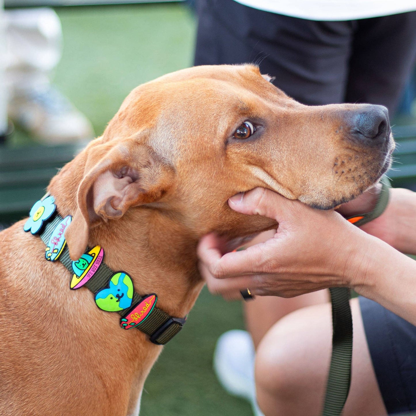 Jiby Dog Crew - UFO Dog Jiby