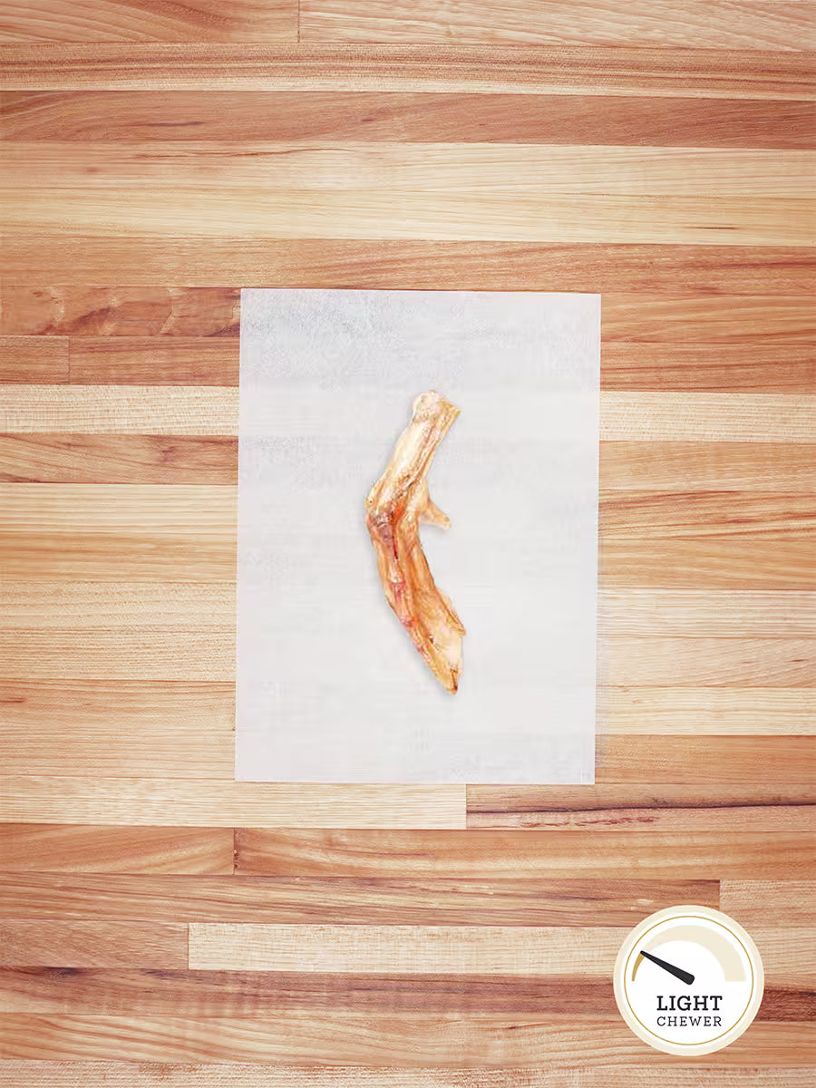 Duck Feet - Doot's Pet LLC Collars For A Cause