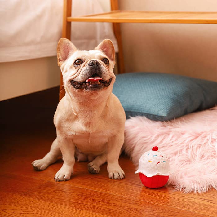Hugsmart Products Inc - HugSmart Pet - Woof Love | Cupcake - Dog Ball Toy