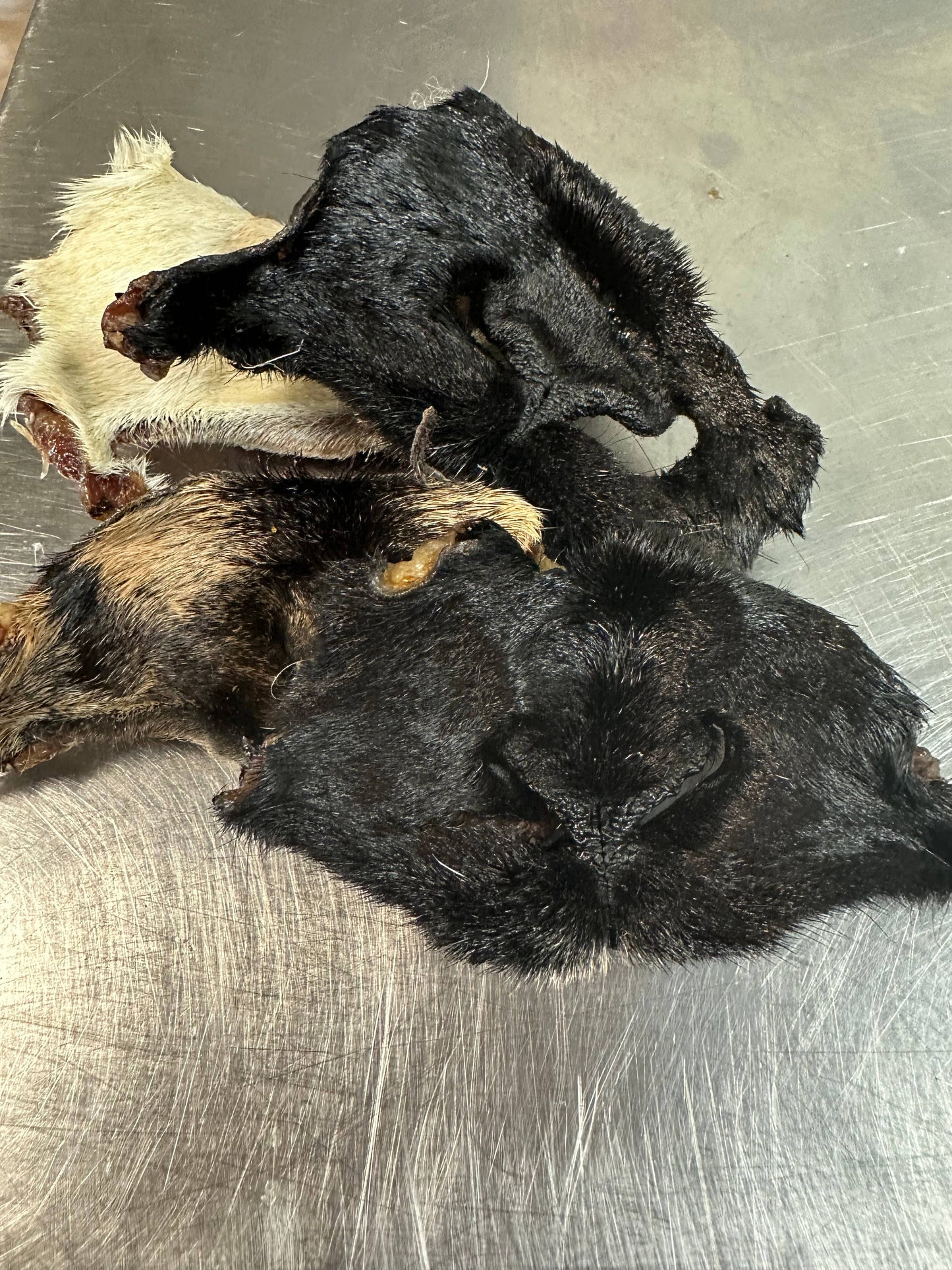 Doot's Chew Bar - Goat Snouts