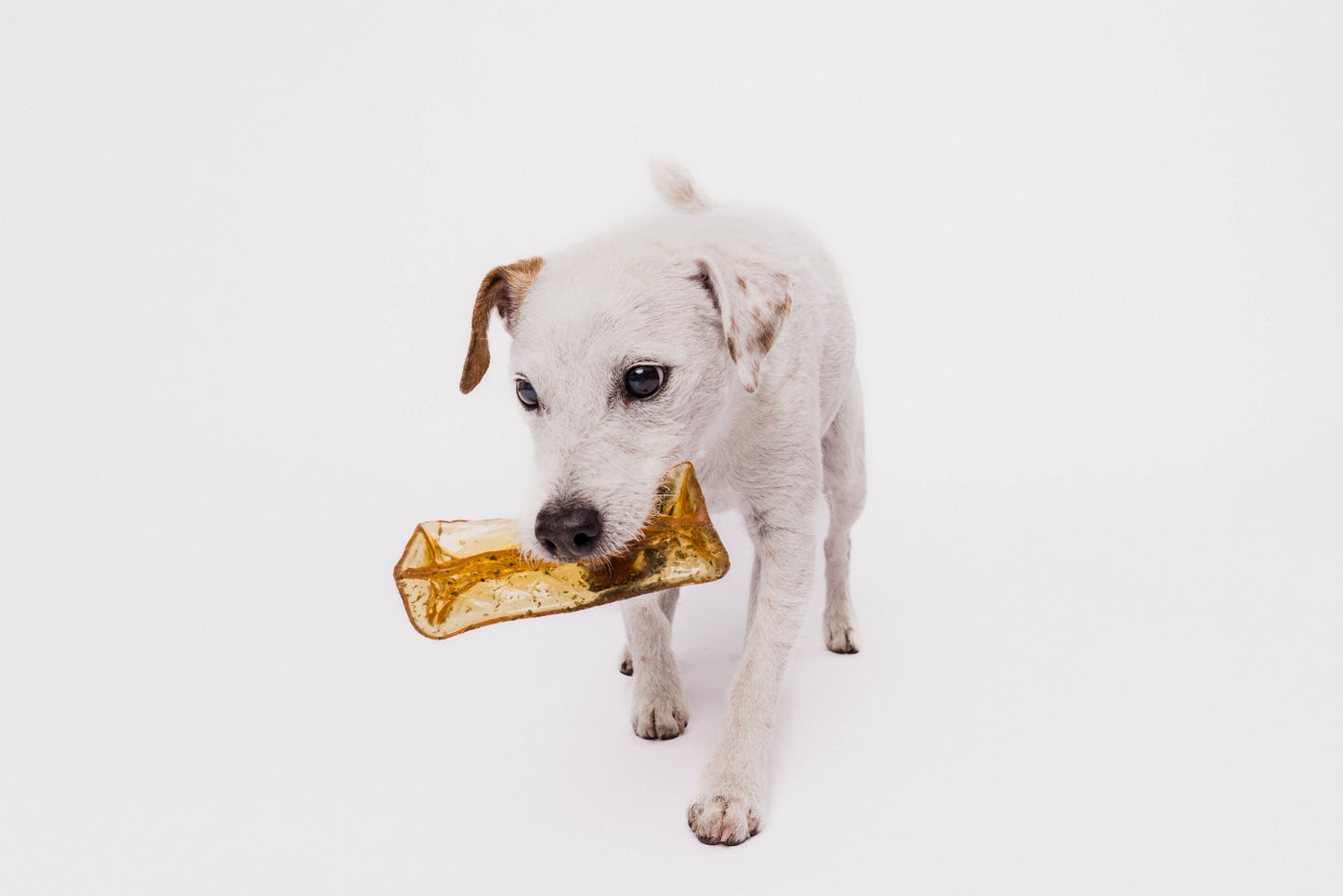 Wag & Bright Supply Co. - Mighty Marrows Collagen Dental Chew - Beef Liver - 3 Sizes