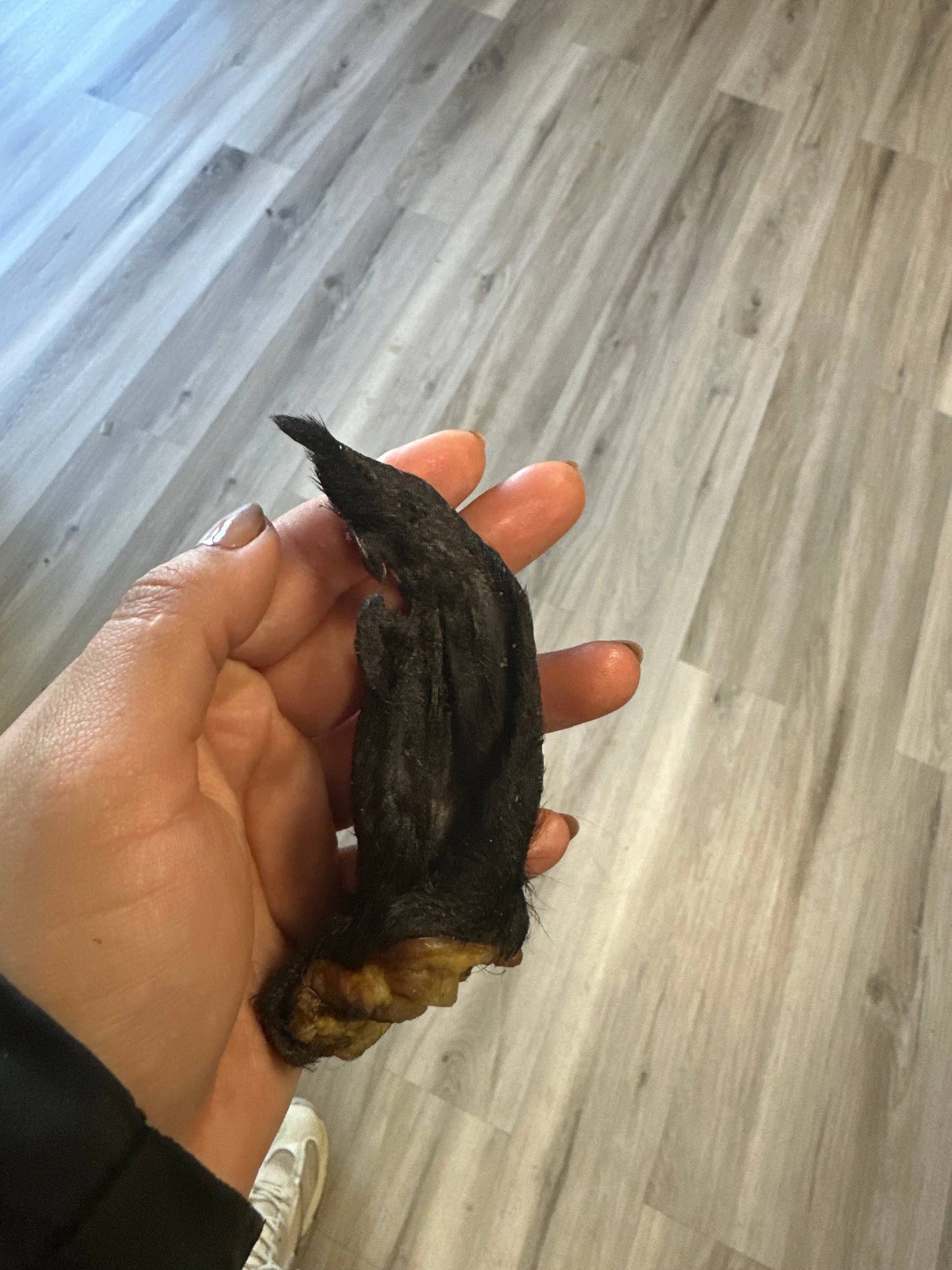 Doot's Chew Bar - Lamb Ear