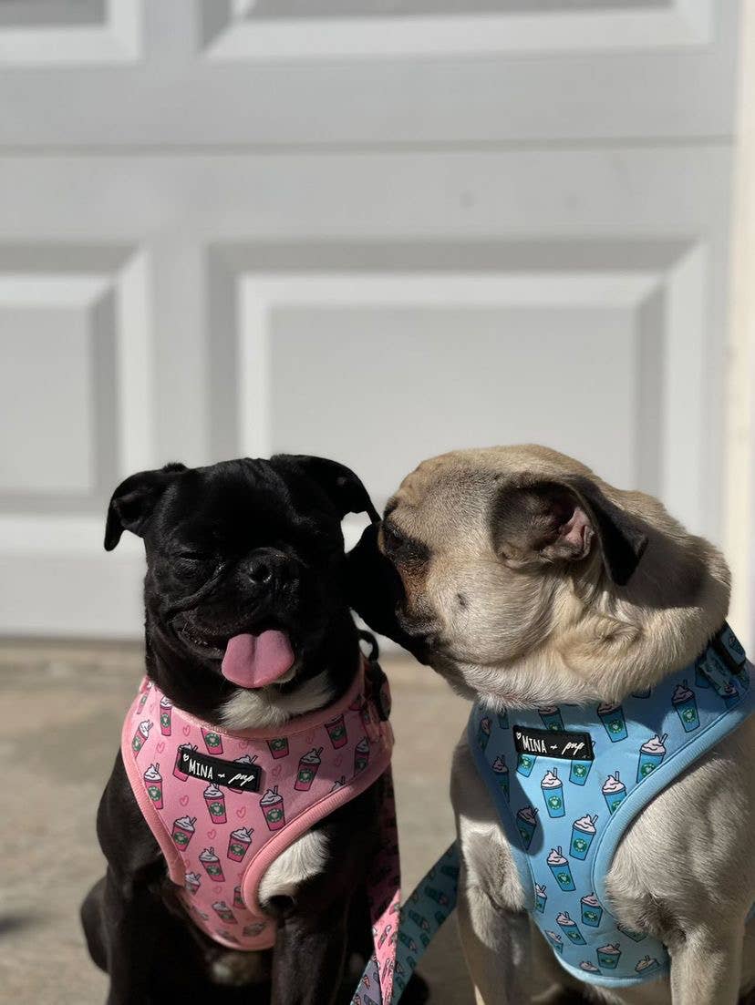 Mina + Pup - Blue Pupshake Adjustable Dog or Cat Harness