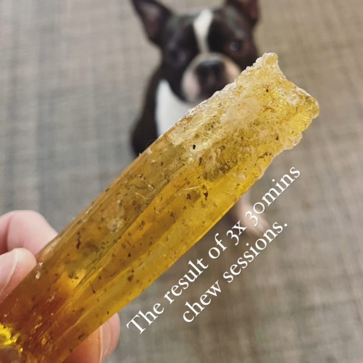 Wag & Bright Supply Co. - Mighty Marrows Collagen Dental Chew - Beef Liver - 3 Sizes