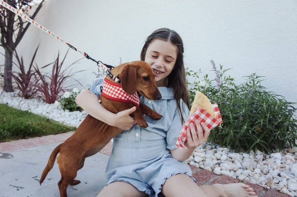 Mina + Pup - Drive-In Diner Reversible Harness