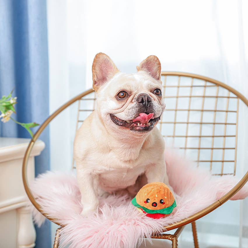 Hugsmart Products Inc - HugSmart Pet - Food Party | Hamburger - Dog Ball Toy